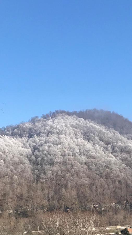 Pine Mountain Inn Pineville ภายนอก รูปภาพ
