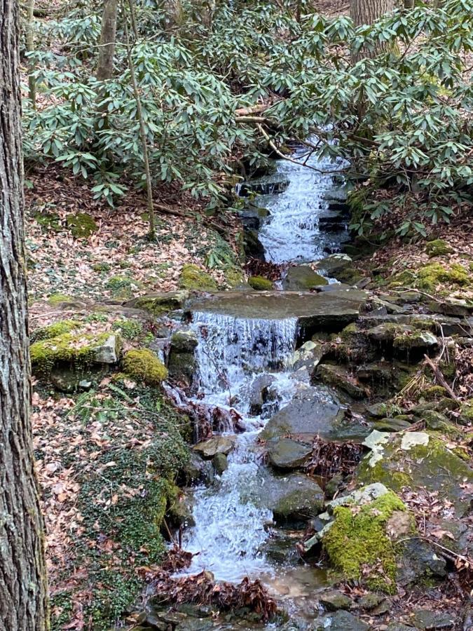 Pine Mountain Inn Pineville ภายนอก รูปภาพ