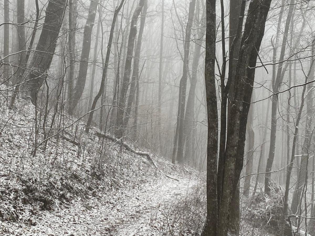 Pine Mountain Inn Pineville ภายนอก รูปภาพ