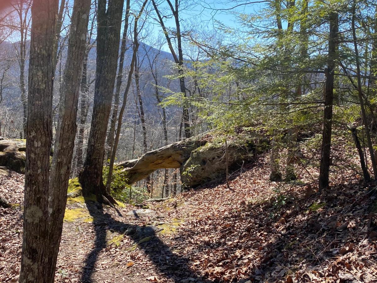 Pine Mountain Inn Pineville ภายนอก รูปภาพ